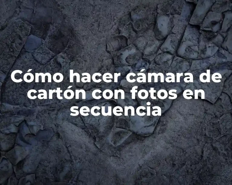 Cómo hacer cámara de cartón con fotos en secuencia