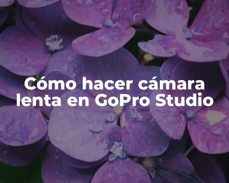 Cómo hacer cámara lenta en GoPro Studio
