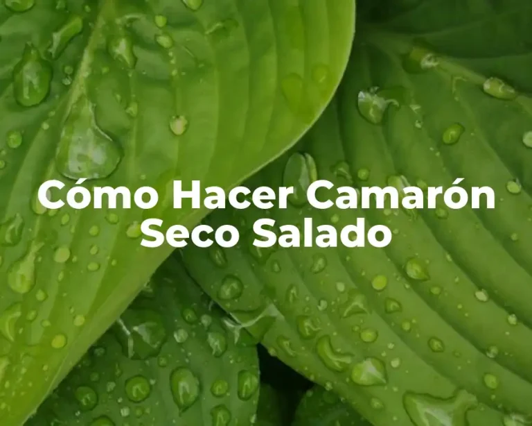Cómo Hacer Camarón Seco Salado