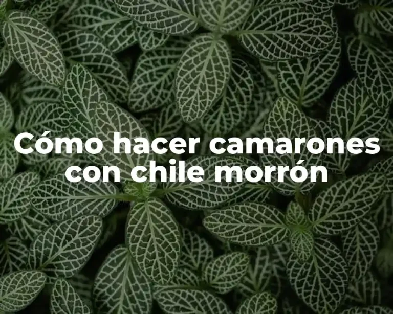 Cómo hacer camarones con chile morrón