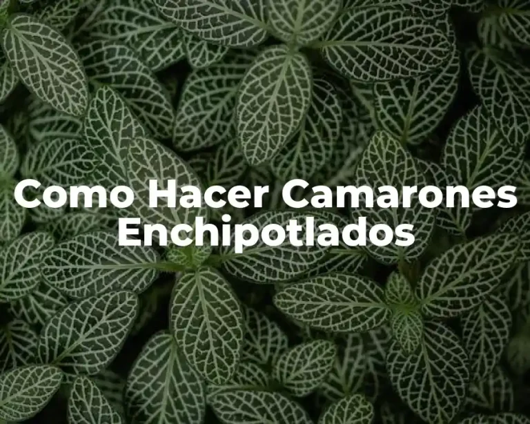 Como Hacer Camarones Enchipotlados