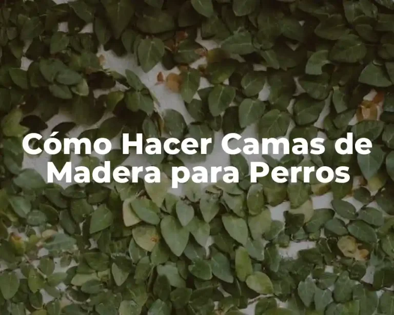 Cómo Hacer Camas de Madera para Perros