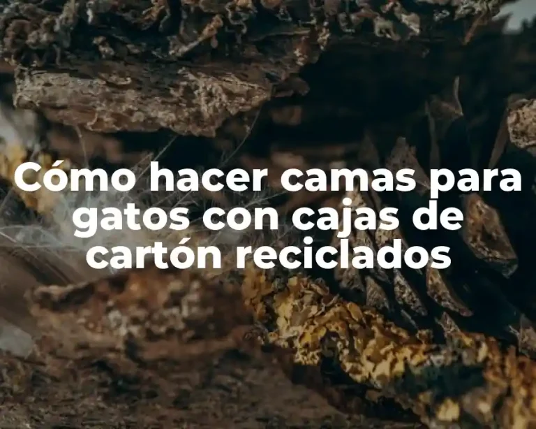 Cómo hacer camas para gatos con cajas de cartón reciclados
