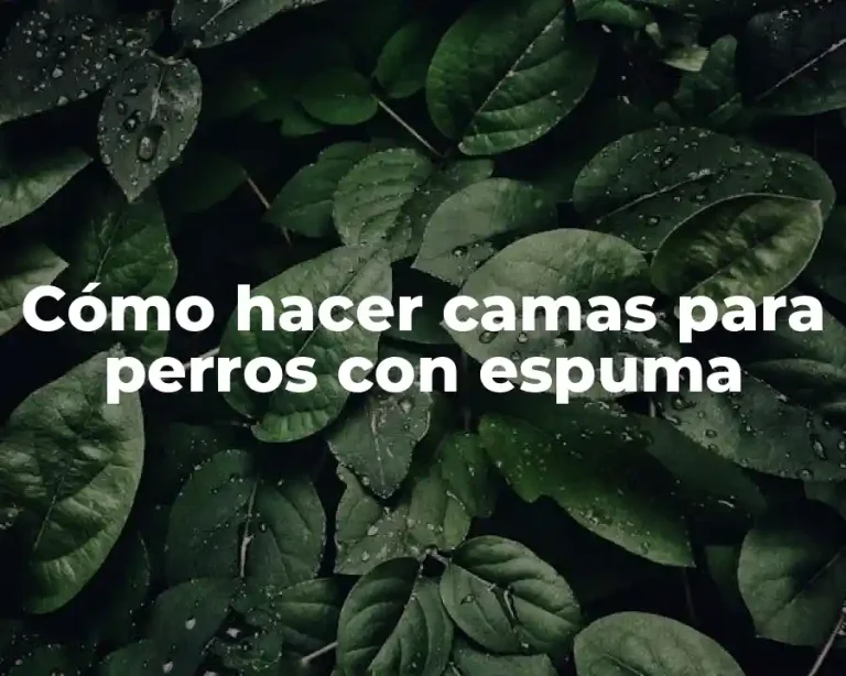 Cómo hacer camas para perros con espuma