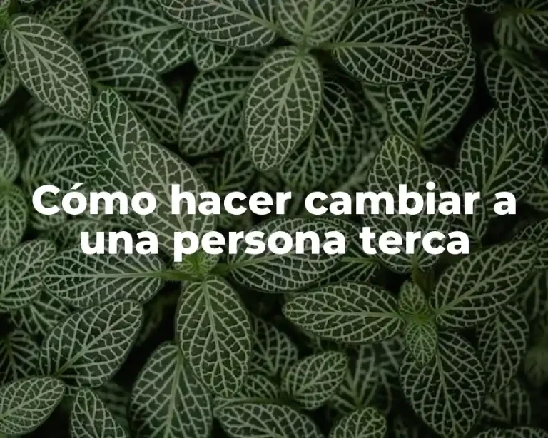 Cómo hacer cambiar a una persona terca