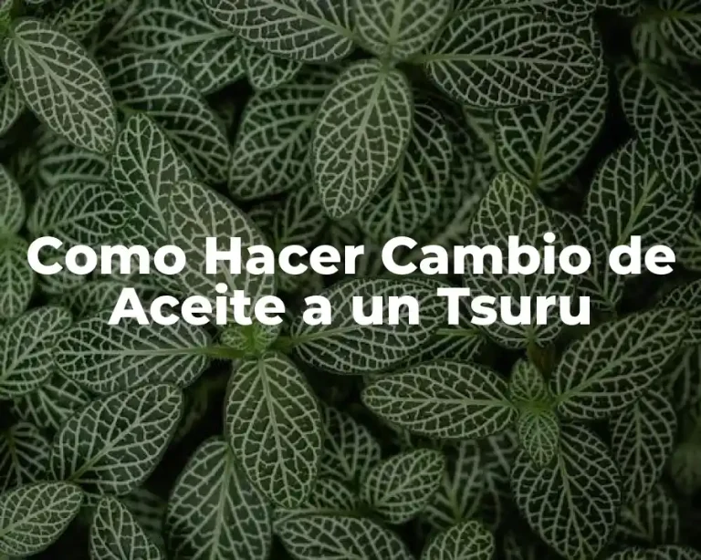 Como Hacer Cambio de Aceite a un Tsuru