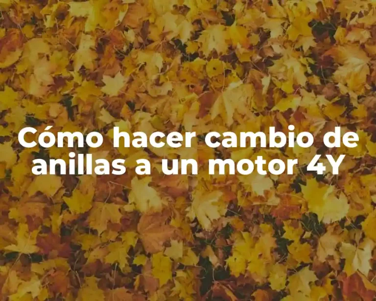 Cómo hacer cambio de anillas a un motor 4Y