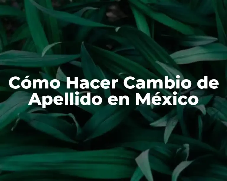 Cómo Hacer Cambio de Apellido en México