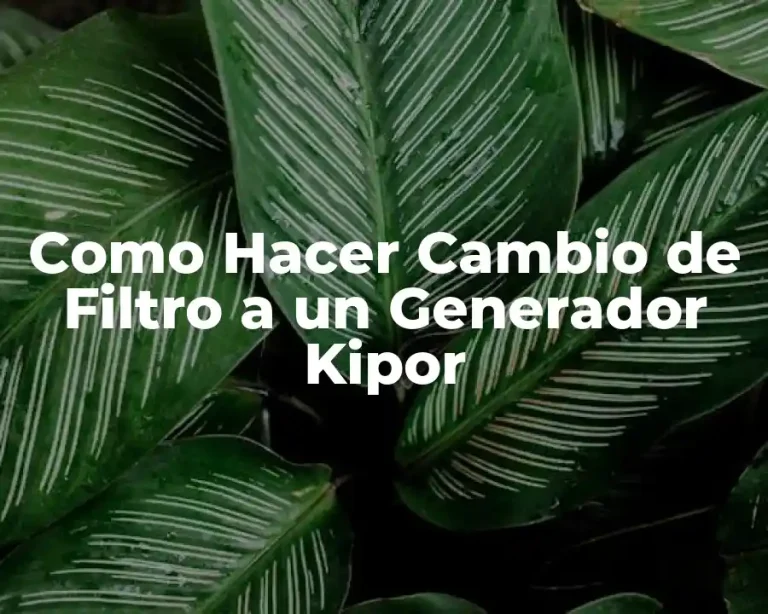 Como Hacer Cambio de Filtro a un Generador Kipor