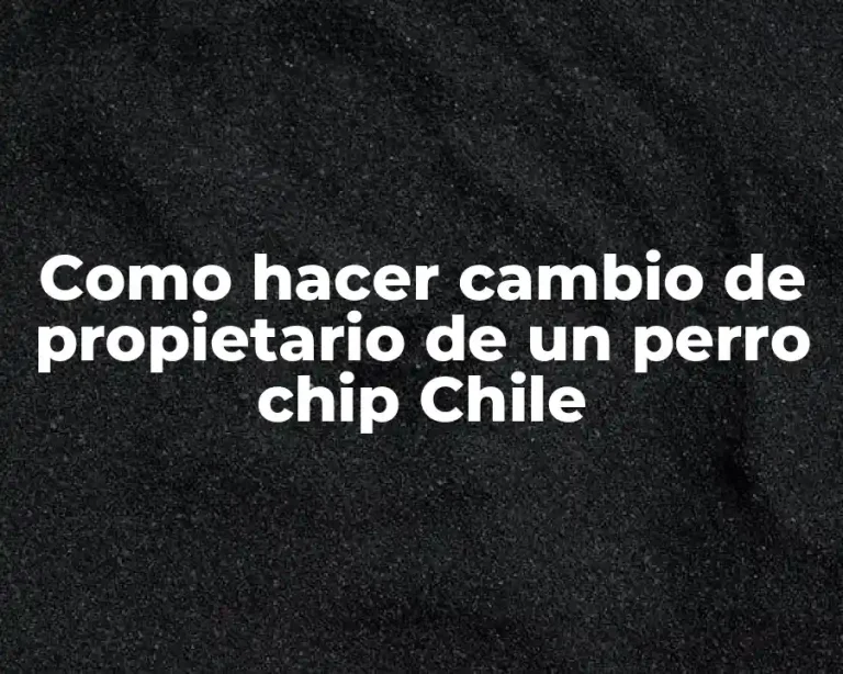 Como hacer cambio de propietario de un perro chip Chile