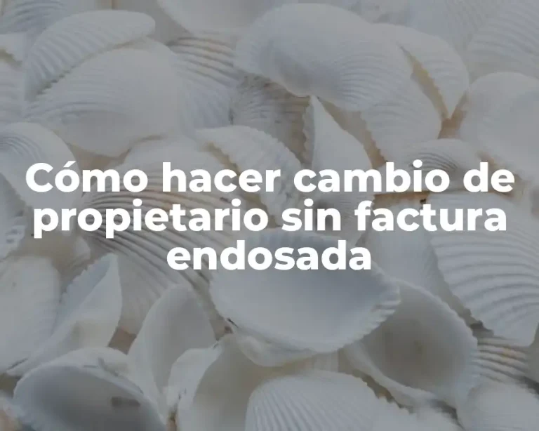 Cómo hacer cambio de propietario sin factura endosada