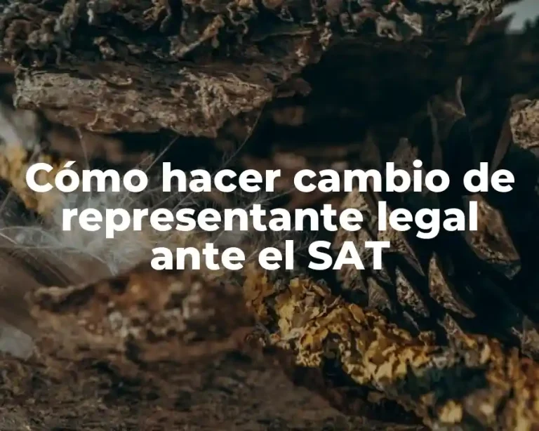 Cómo hacer cambio de representante legal ante el SAT