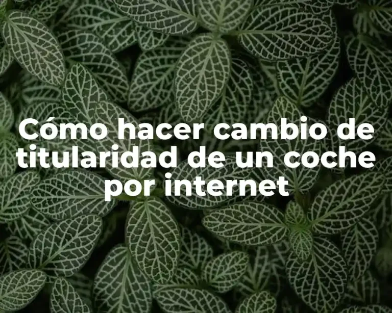 Cómo hacer cambio de titularidad de un coche por internet