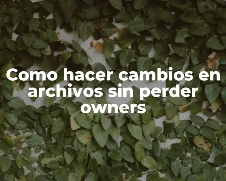 Como hacer cambios en archivos sin perder owners