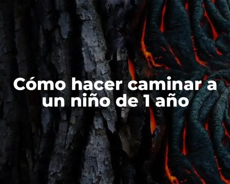 Cómo hacer caminar a un niño de 1 año