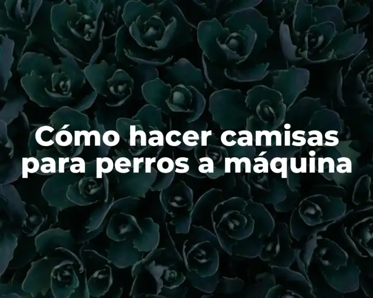 Cómo hacer camisas para perros a máquina