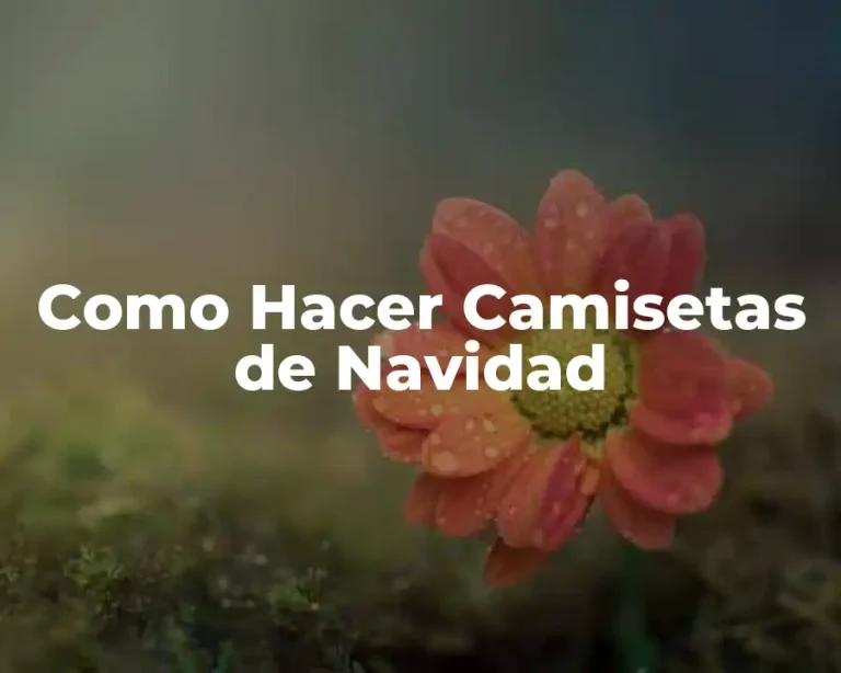 Como Hacer Camisetas de Navidad