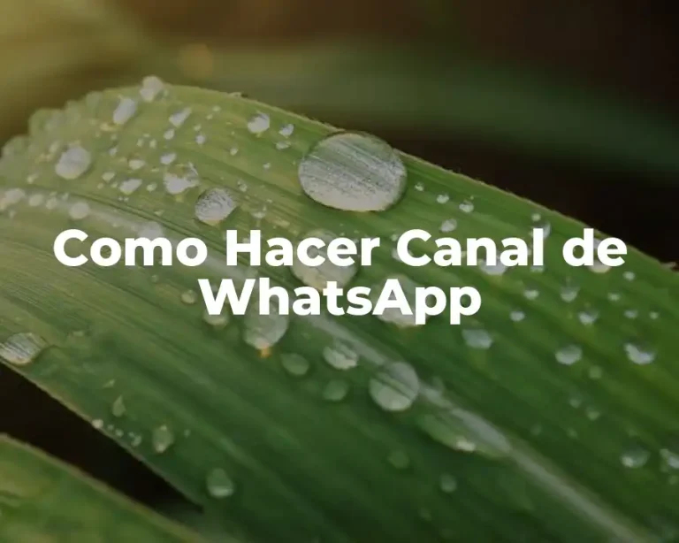 Como Hacer Canal de WhatsApp