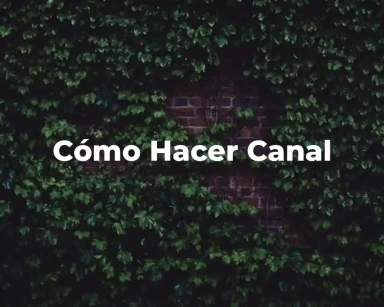 Cómo Hacer Canal