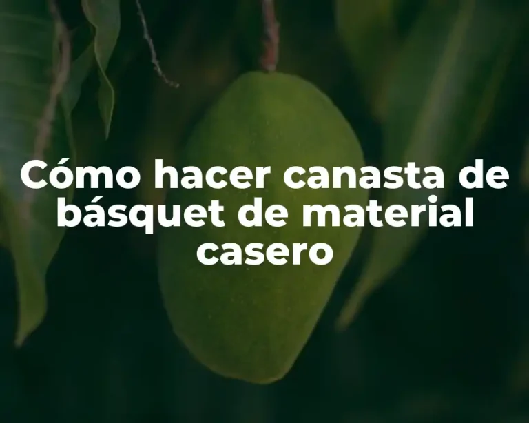 Cómo hacer canasta de básquet de material casero