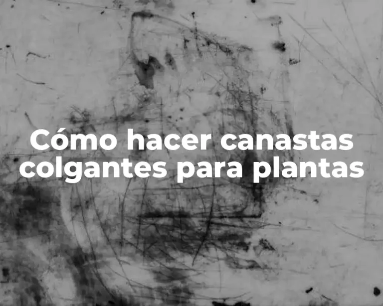 Cómo hacer canastas colgantes para plantas