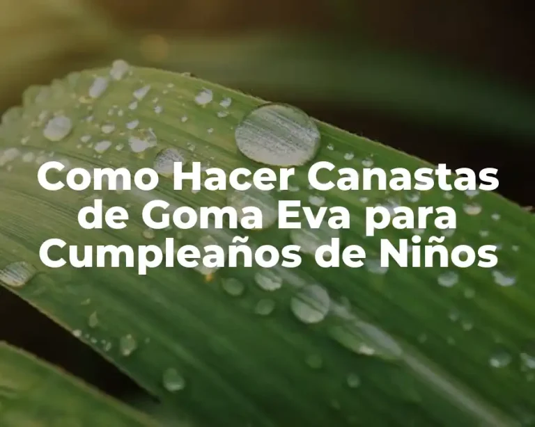Como Hacer Canastas de Goma Eva para Cumpleaños de Niños