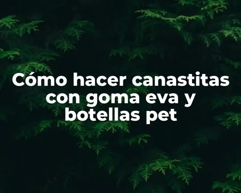 Cómo hacer canastitas con goma eva y botellas pet