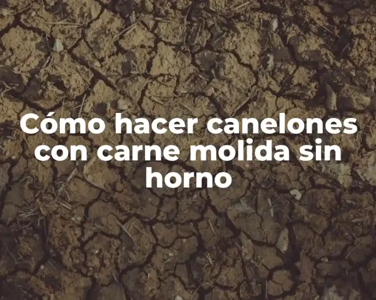 Cómo hacer canelones con carne molida sin horno