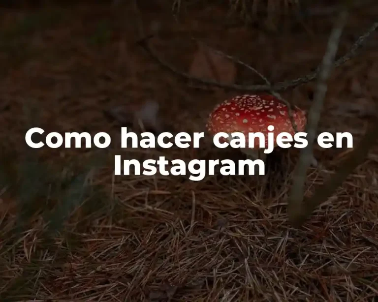 Como hacer canjes en Instagram