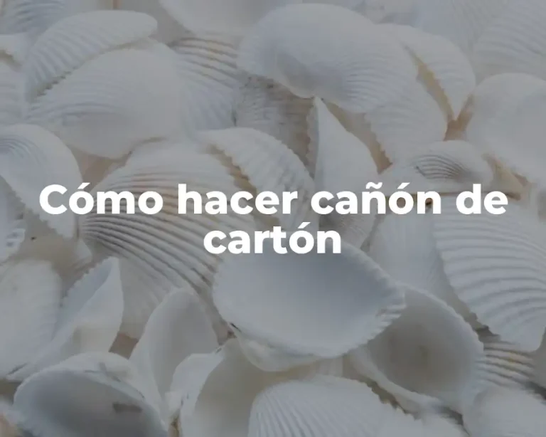 Cómo hacer cañón de cartón
