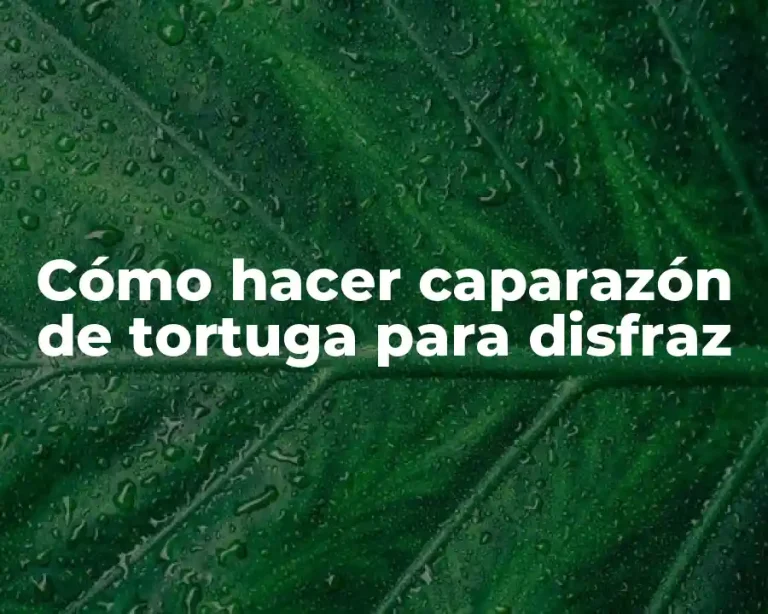 Cómo hacer caparazón de tortuga para disfraz