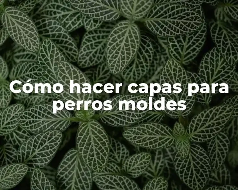 Cómo hacer capas para perros moldes