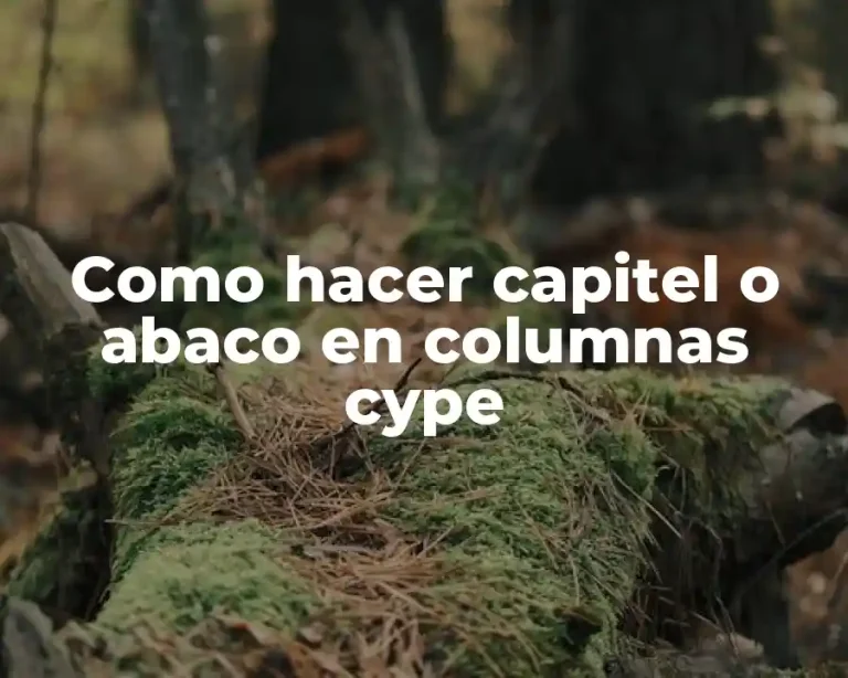 Como hacer capitel o abaco en columnas cype