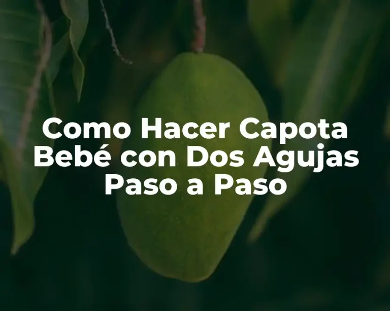 Como Hacer Capota Bebé con Dos Agujas Paso a Paso