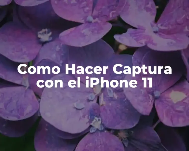 Como Hacer Captura con el iPhone 11
