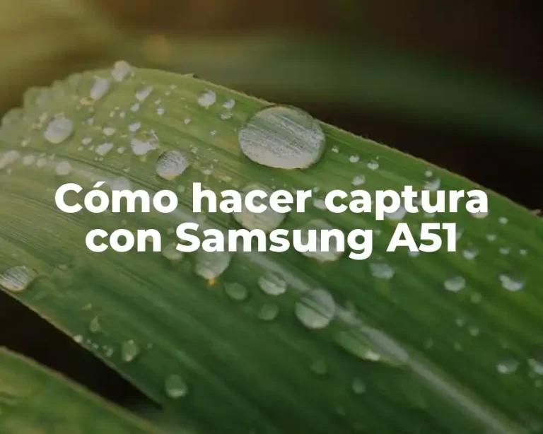 Cómo hacer captura con Samsung A51