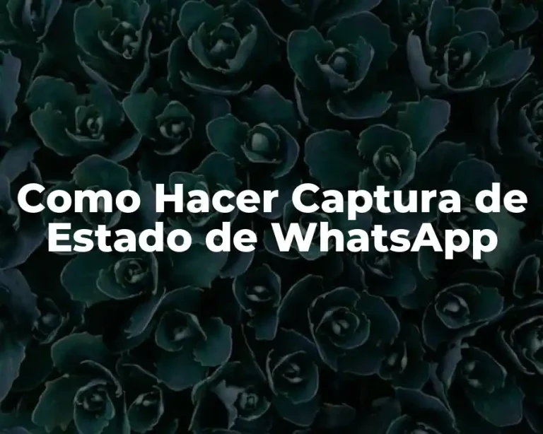 Como Hacer Captura de Estado de WhatsApp