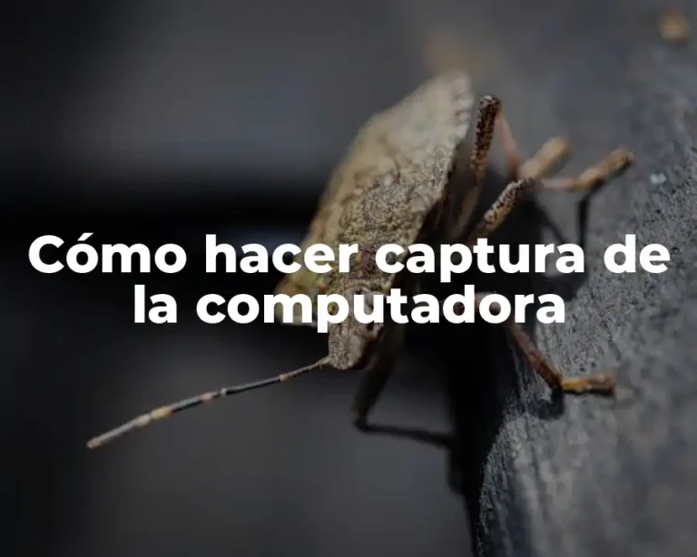 Cómo hacer captura de la computadora