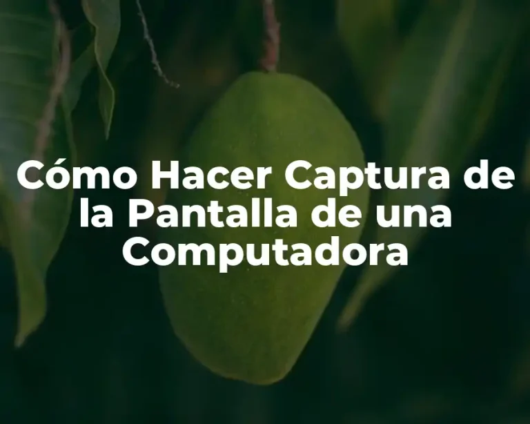 Cómo Hacer Captura de la Pantalla de una Computadora