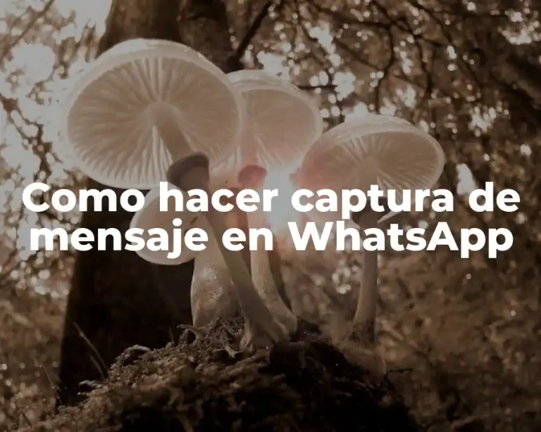 Como hacer captura de mensaje en WhatsApp