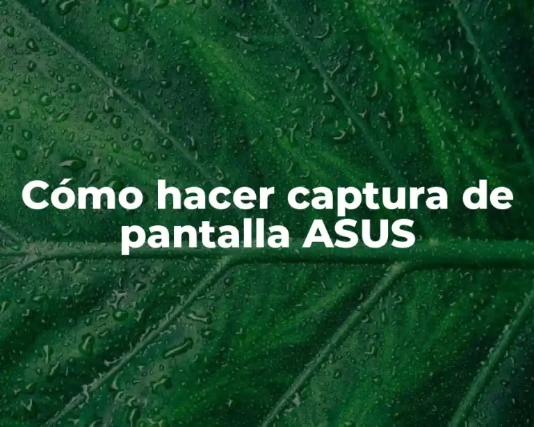 Cómo hacer captura de pantalla ASUS