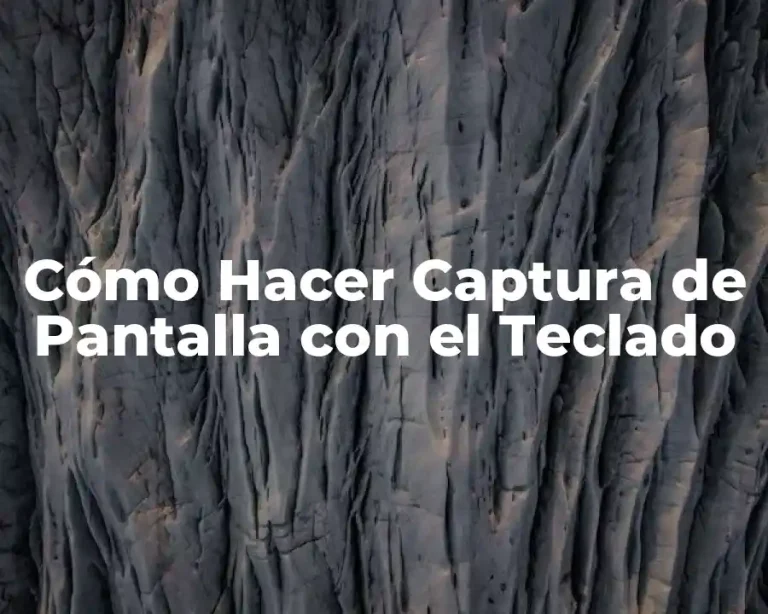 Cómo Hacer Captura de Pantalla con el Teclado