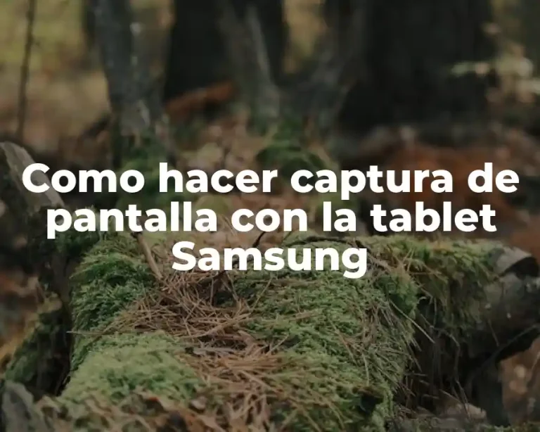 Como hacer captura de pantalla con la tablet Samsung