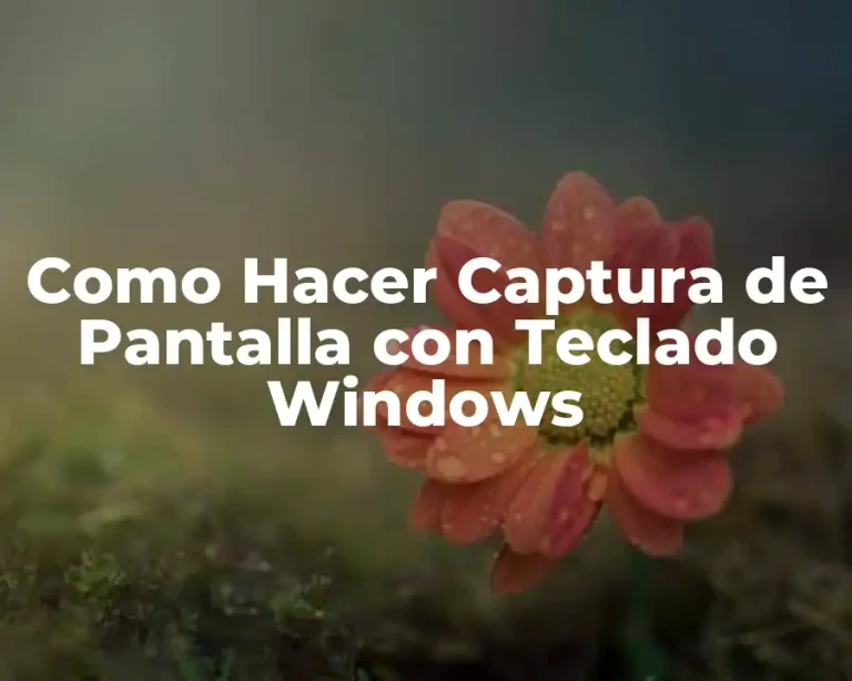 Como Hacer Captura de Pantalla con Teclado Windows