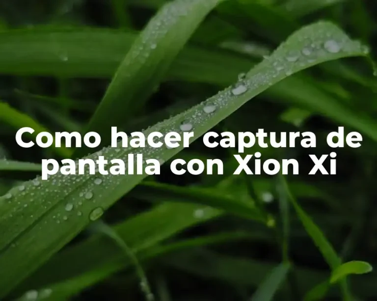 Como hacer captura de pantalla con Xion Xi