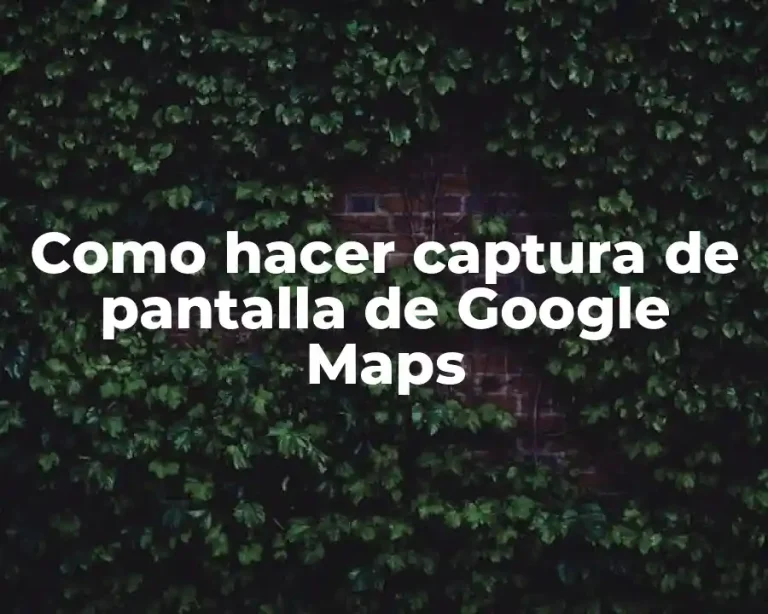 Como hacer captura de pantalla de Google Maps