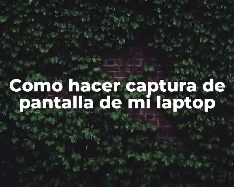 Como hacer captura de pantalla de mi laptop