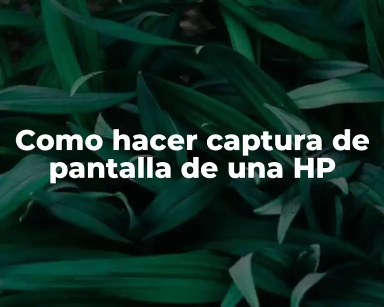 Como hacer captura de pantalla de una HP