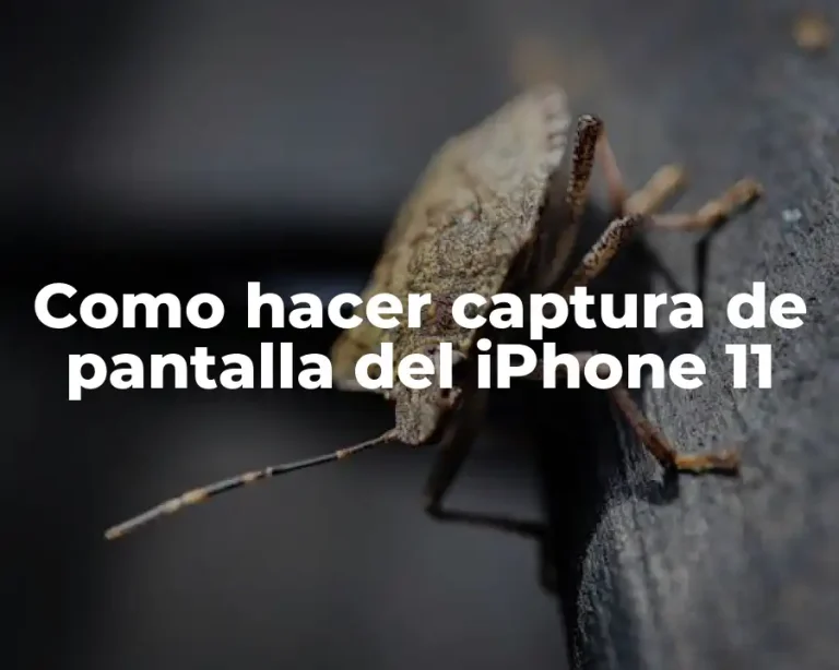 Como hacer captura de pantalla del iPhone 11