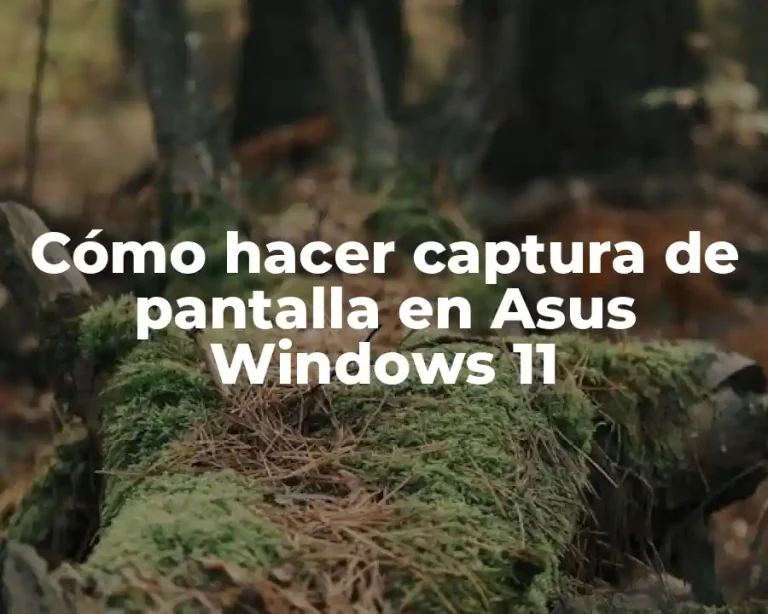 Cómo hacer captura de pantalla en Asus Windows 11